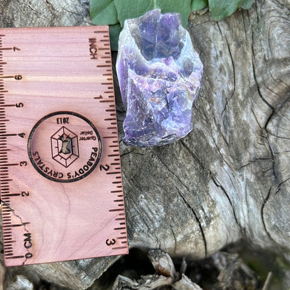 Dogtooth Amethyst Meditation Clusters