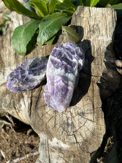 Dogtooth Amethyst Meditation Clusters