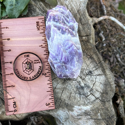 Dogtooth Amethyst Meditation Clusters
