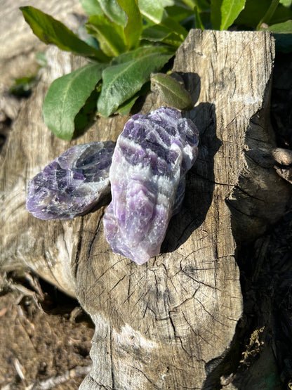 Dogtooth Amethyst Meditation Clusters